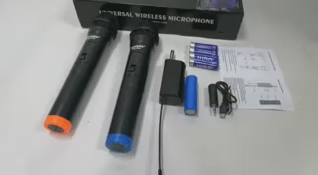 PROFESSIONAL WIRELESS MICROPHONE DUO